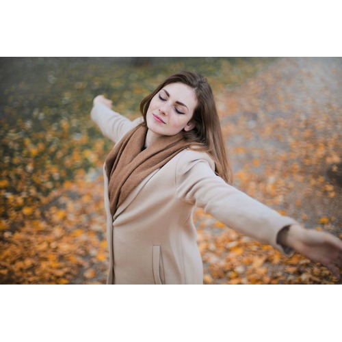 Autumn in Germany: Embracing the Season of Change with Smart Discounts