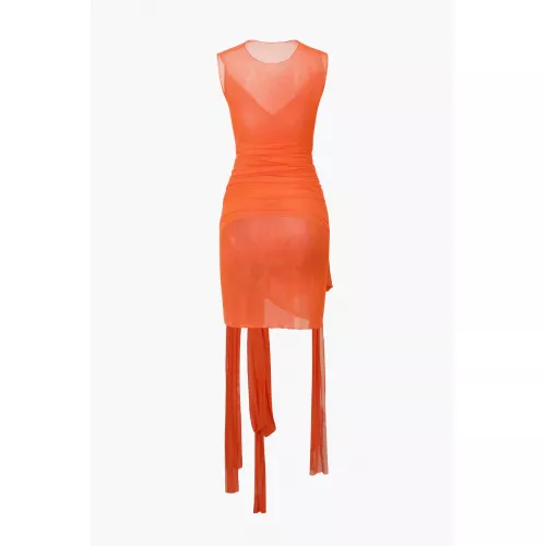 Sheer Mesh Ribbon Mini Dress