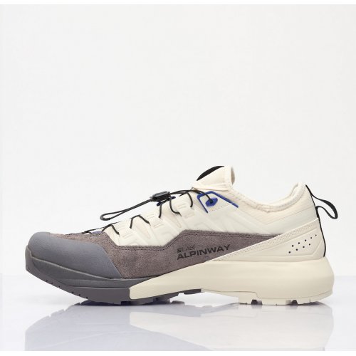 Salomon Alpinway Advanced Sneakers