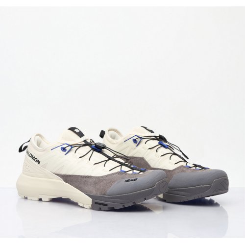 Salomon Alpinway Advanced Sneakers