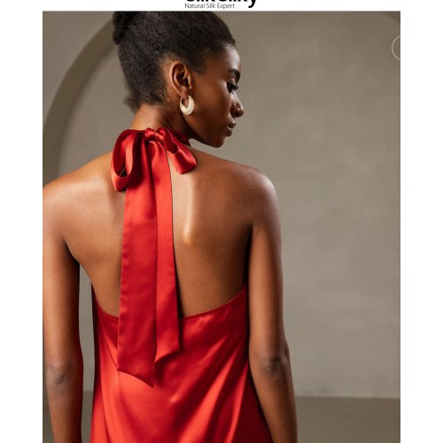 19Momme Silk Sexy Backless Long Dress 