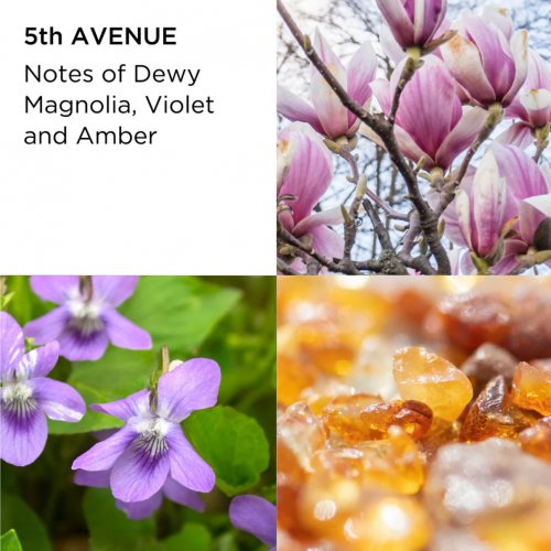  5th Avenue 30ml 2 Piece Fragrance Gift Set 