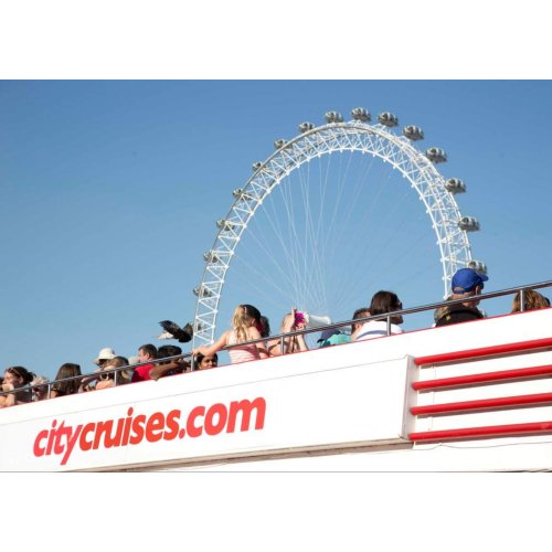  London Hop-On Hop-Off Bus by Tootbus 